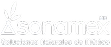 Logo Sonamex